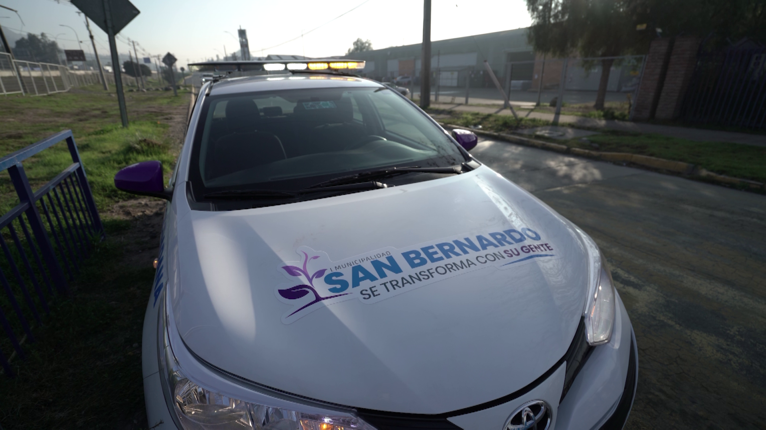 Más seguridad para nuestro San Bernardo Christopher White